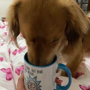 Meet your Posher, Berfin